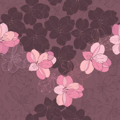 Alstroemeria. Vector flowers alstromeria contours and silhouettes on colorful