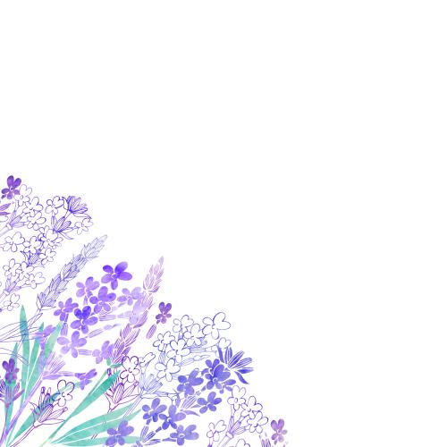 Raster image watercolor lavender, space for text on white, corner composition