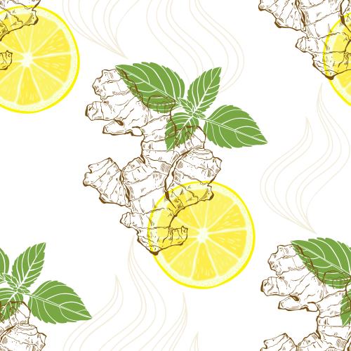 Vector image ginger, lemon and mint on white