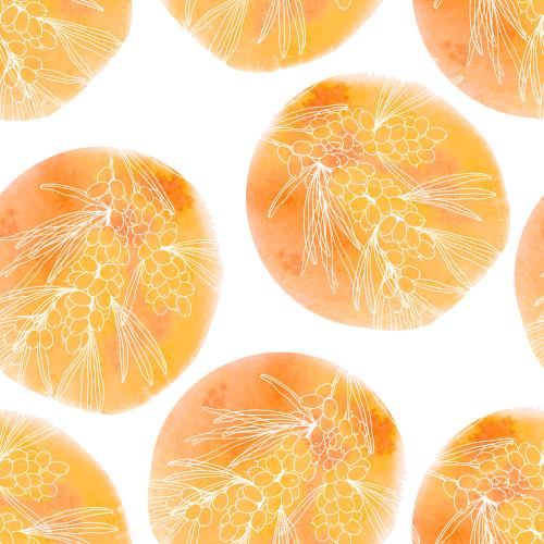 Sea buckthorn. Vector sea buckthorn branches with berries on round orange watercolor fragments on white