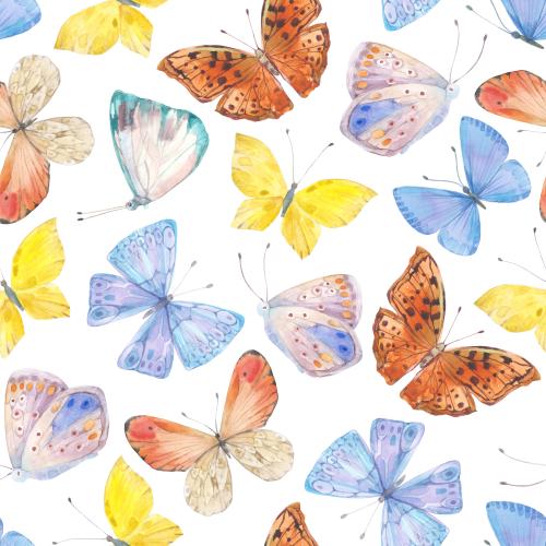 Raster image watercolor butterflies on white