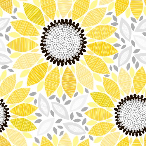 Sunflower. Vector stylized sunflowers on white