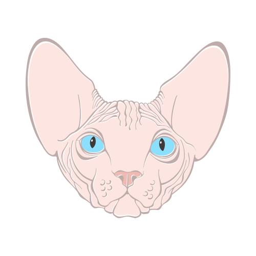 Sphinx cat. Vector sphinx cat, cute colorful face on white
