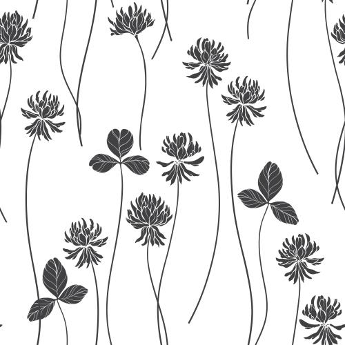 Clover. Vector clover, flowers and leaves, silhouettes on white