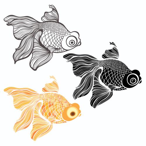 Vector image fish three isolated variants on white