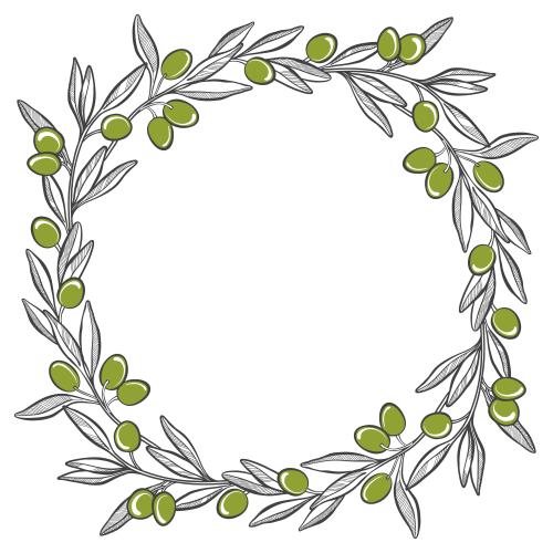 Vector image olive branches with colorful fruits, frame on white