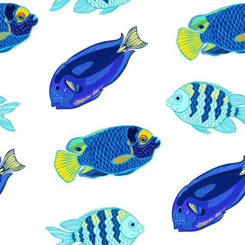 Vector image exotic tropical fish on white