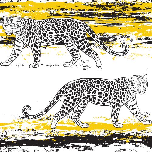 Leopard. Vector leopards and textured stripes on white