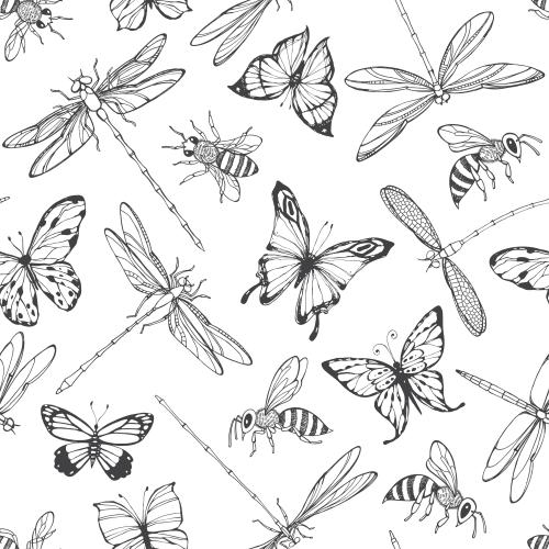 Butterfly. Vector dragonflies butterflies and bees on white