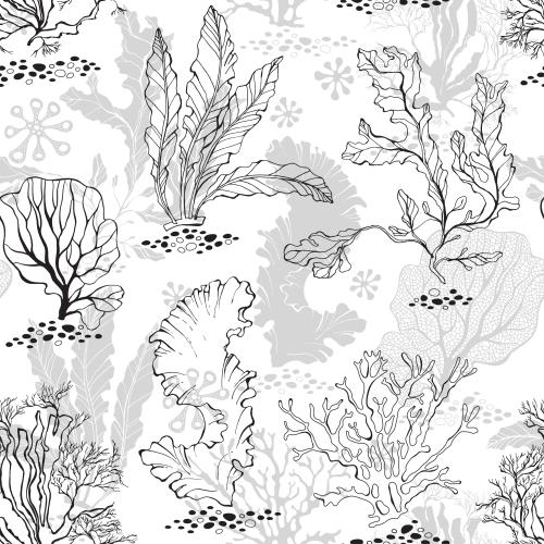Underwater plant. Vector Pattern marine algae, corals, contours and silhouettes on white
