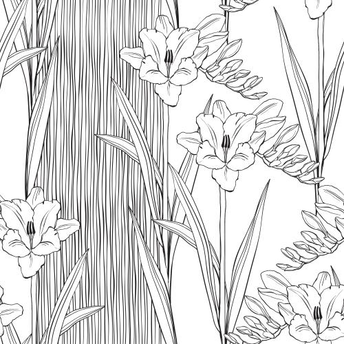 Freesia. Vector freesia vertical lines on white