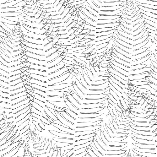 Fern. Vector black outlines on white ferns