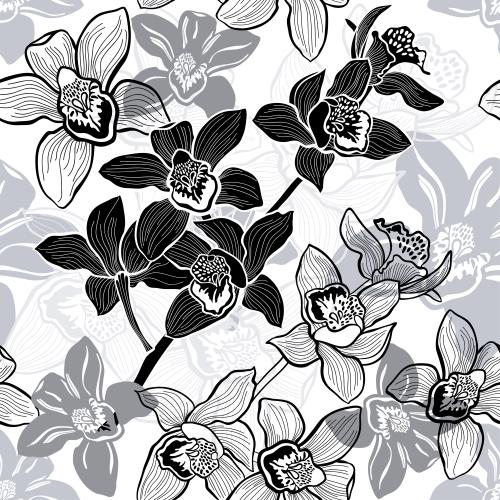 Orchid. Vector Pattern monochrome orchids on white