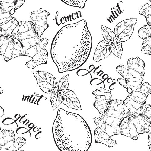 Spice. Vector lemon mint ginger signs on white