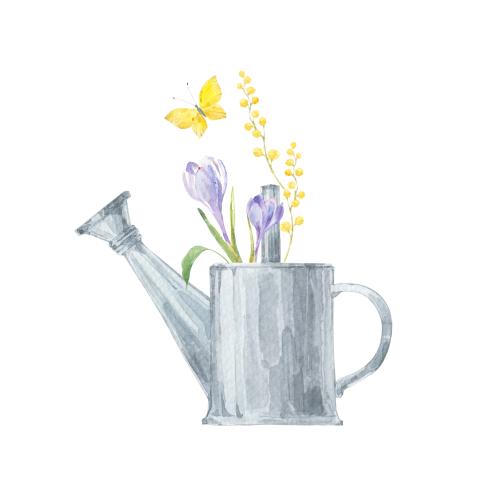 Raster image watercolor crocuses