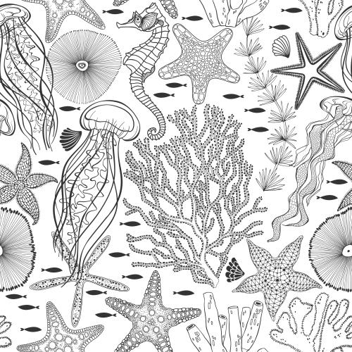 Jellyfish. Vector sea horse, jellyfish, fish, shells, sea stars, corals, underwater plants on white