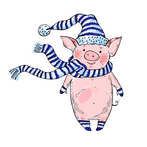 Animals. Vector cartoon pig in a hat, scarf, mittens, and socks on white