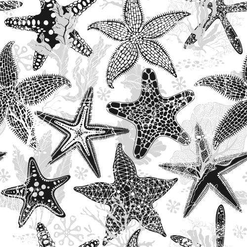 Vector image sea stars corals algae on white