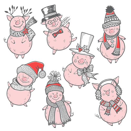 Pig. Vector cartoon pigs in winter new year hats on white