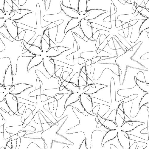 Illustration sea stars black outlines on white