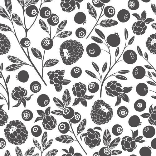 Cranberry. Vector raspberry, cloudberry, cranberry and blueberry, black silhouettes on white