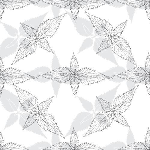 Nettle. Vector nettle, contours and gray silhouettes on white