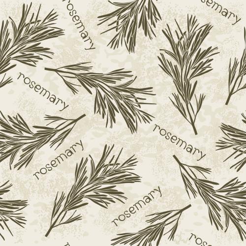 Spice. Vector silhouettes of rosemary branches and the word rosemary on a textured light