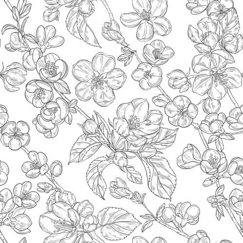 Apple tree. Vector apple blossom japanese quince branches with flowers on white