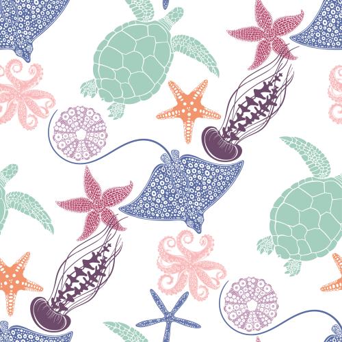 Female. Vector turtles rays jellyfish starfish octopuses sea urchins colored silhouettes on white