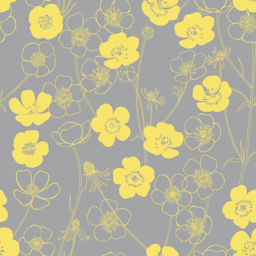 Buttercup. Vector poppies on gray