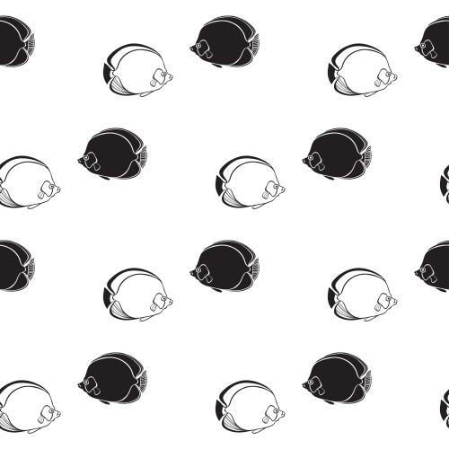 Vector image tropical fish, black outlines and silhouettes on white