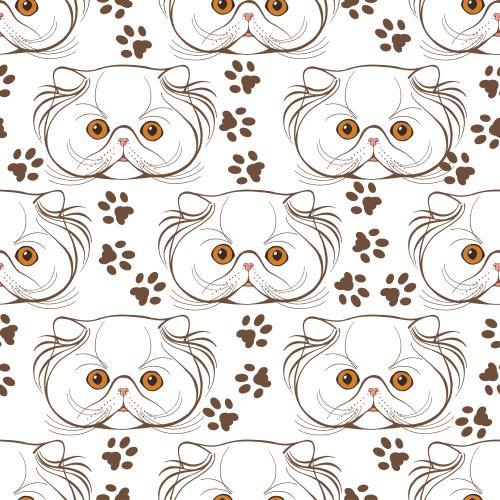 Persian cat. Vector persian kittens, cute little faces and paw prints on white