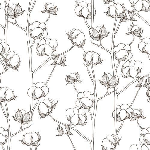 Cotton. Vector monochrome cotton twigs on white