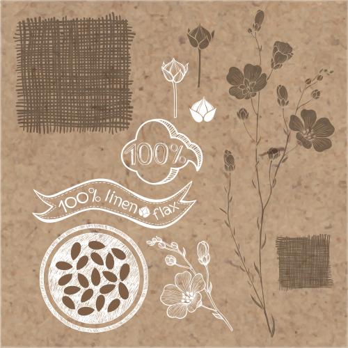 Flax. Vector flax elements for design on craft
