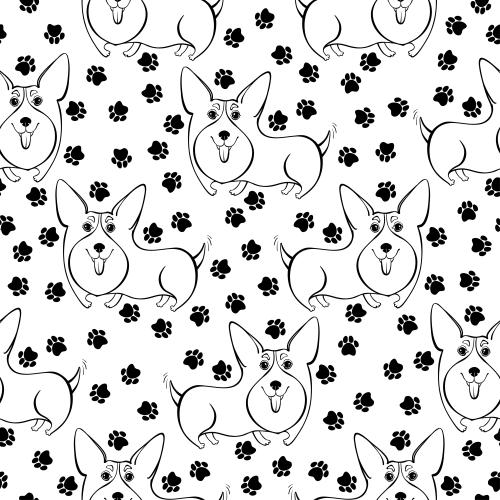 Dog. Vector monochrome corgi and paw prints on white
