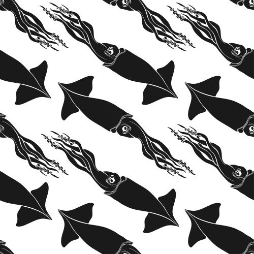 Squid. Vector squid black silhouettes on white