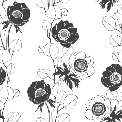 Eucalyptus. Vector anemones and eucalyptus branches, silhouettes and contours on white