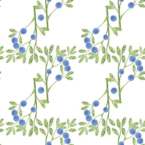 Female. Vector stylized blueberry branches with berries on white