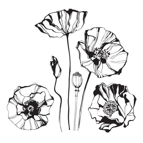 Poppy. Vector poppies on white