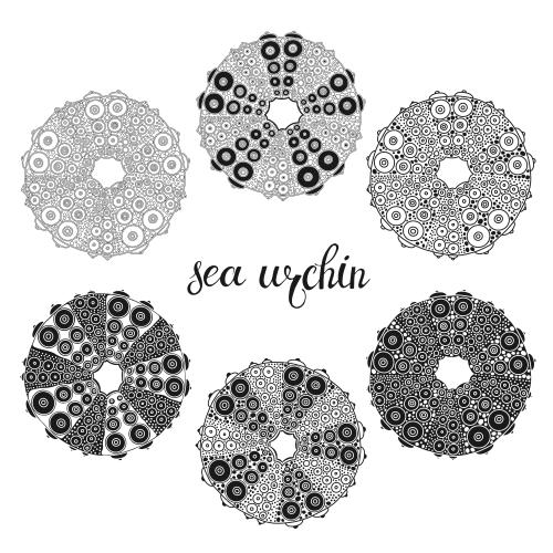 Vector image sea urchins on white, six options