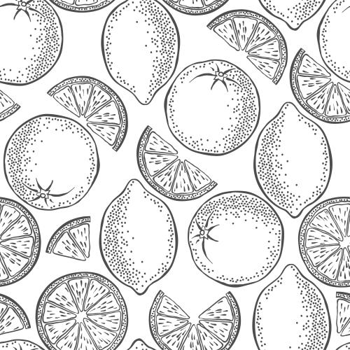 Illustration oranges and lemons, slices and whole fruits on white