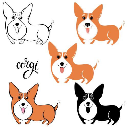 Dog. Vector cute corgis, five options on white