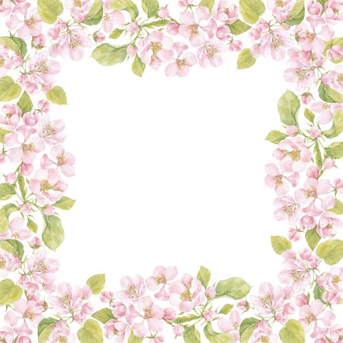 Raster image watercolor flowers and apple tree leaves square frame on white