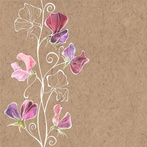Raster image watercolor scented pea pattern text area on craft