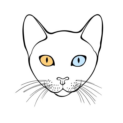 Cao mani. Vector cat kao-mani, cute face on white