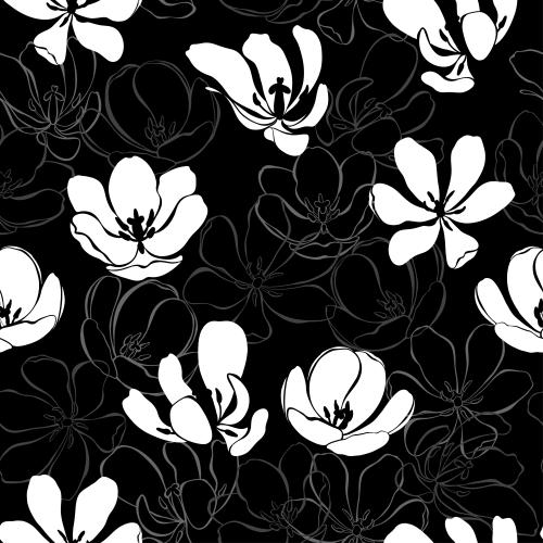 Tulip. Vector tulips white silhouettes and gray contours on black