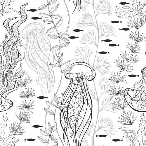 Jellyfish. Vector jellies fish seaweed on white