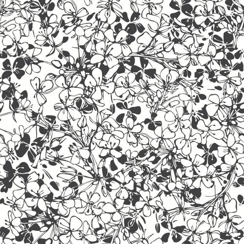 Vector image abstract flower contours and silhouettes on white