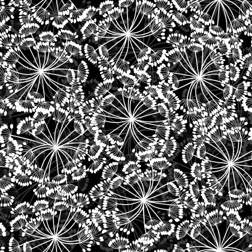 Dill. Vector flowered umbrellas white and gray on black