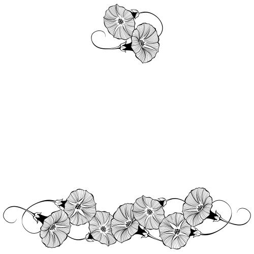 Illustration flowers of the morning glory space for text on white